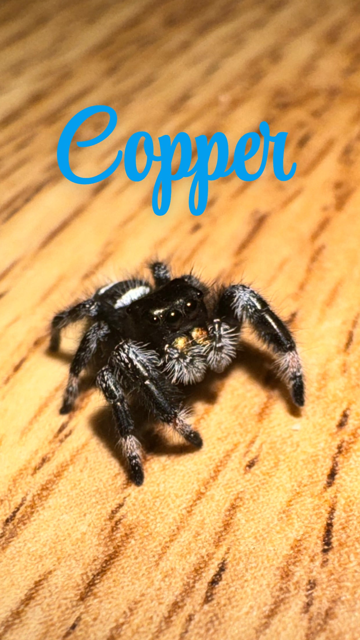 Copper